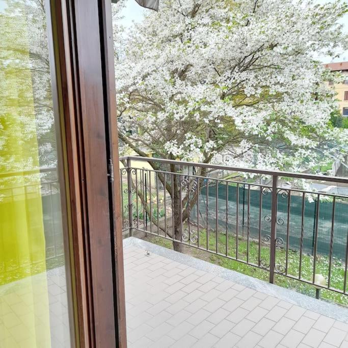 הוילה Oleggio Castello Il Vecchio Kiwi - House With Private Garden מראה חיצוני תמונה