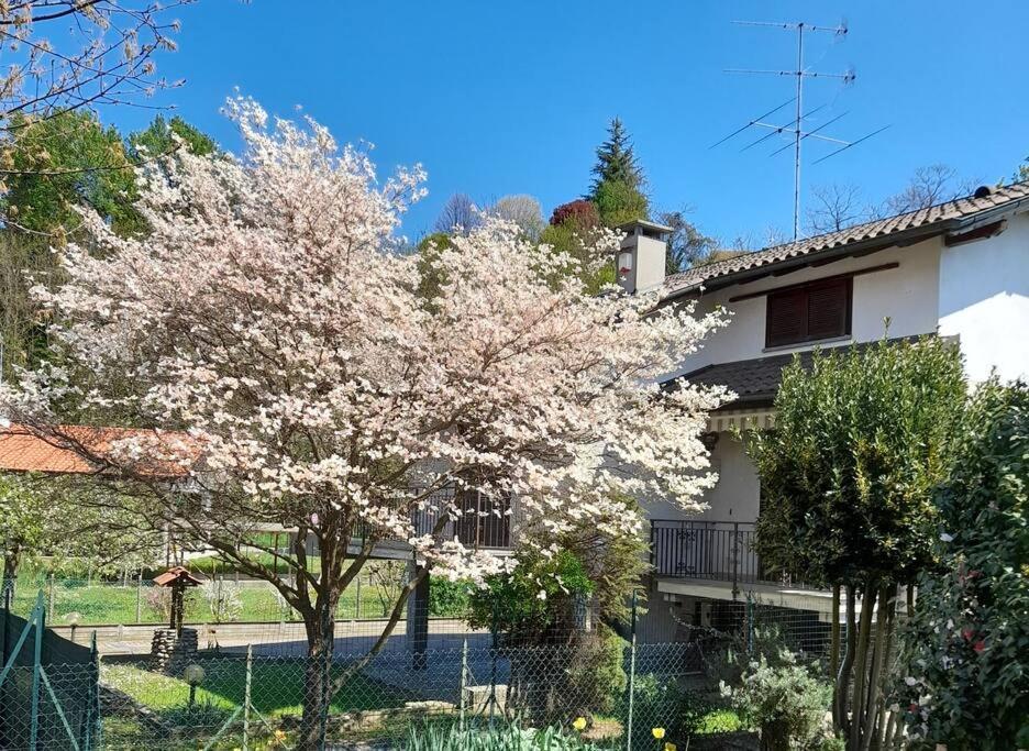 הוילה Oleggio Castello Il Vecchio Kiwi - House With Private Garden מראה חיצוני תמונה