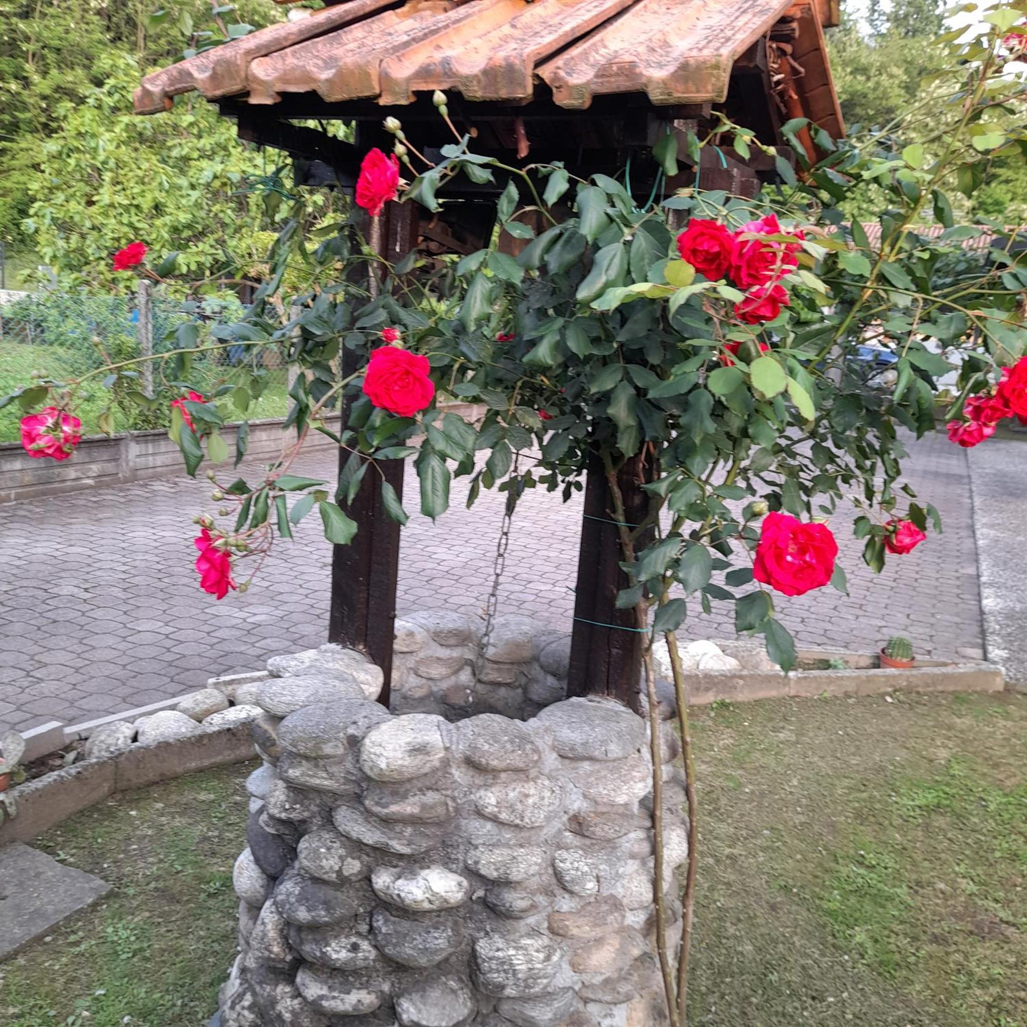 הוילה Oleggio Castello Il Vecchio Kiwi - House With Private Garden מראה חיצוני תמונה